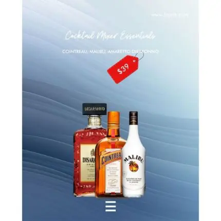Cocktail Mixer Essentials
